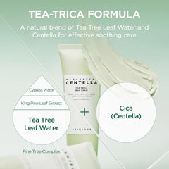 SKIN1004 Tea-Trica BHA Foam 125ml, Makeup Remover with Centella Asiatica & Tea Tree, Korean Face Cleanser for Oil & Sebum Balance, Cleansing Foam for Clearing Impurities, Korean Skin Care