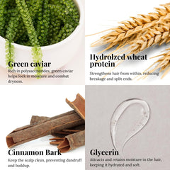 CABELO CHAVE PROFESSIONAL Neoplex Homecare Hair Mask | Green Caviar | Deep Strand Repair & Damage Recovery | Strengthens & Restores | For Men & Women