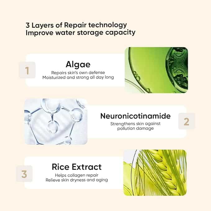 DEDOX Ceramide Rice Moisturizing Toner 20ml – Hydrating Essential Face Moisturizer for All Skin Types – Korean Skincare (20ml) - Pinkbliss