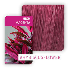 Wella Professionals Color Fresh CREATE HIGH MAGENTA (60 ml) - Pinkbliss
