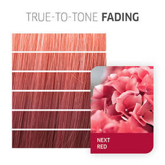 Wella Professionals Color Fresh CREATE NEXT Red (60ml) - Pinkbliss